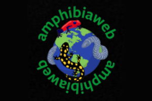 Amphibia Web