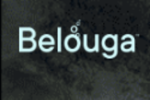 Belouga
