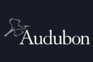 Audubon New York 