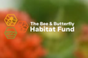 Bee and Butterfly Habitat Fund