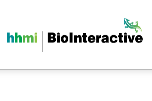 HHMI BioInteractive