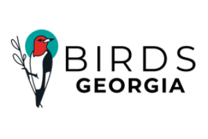 Birds Georgia