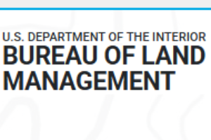 United States (US) Department of the Interior: Bureau of Land Management (BLM)