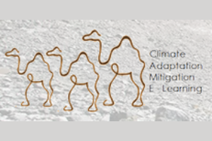 Climate Adaptation Mitigation E-Learning (CAMEL)