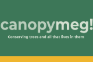 canopymeg!