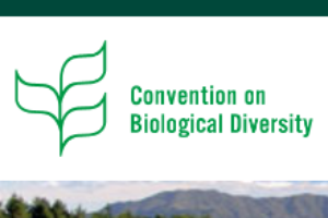 Convention on Biological Diversity (CBD)