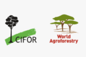 The Center for International Forestry Research and World Agroforestry (CIFOR-ICRAF)