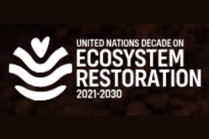 United Nations Decade on Ecosystem Restoration