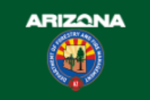 Department of Forestry and Fire Management (DFFM)