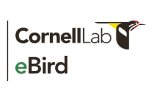 eBird