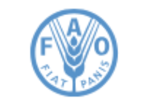 Food and Agriculture Organization of the United Nations
