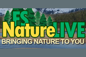 FSNatureLive