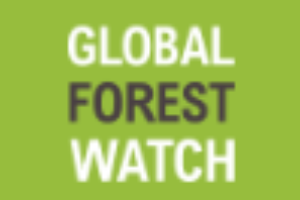 Global Forest Watch