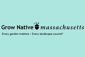 Grow native Massachusetts 