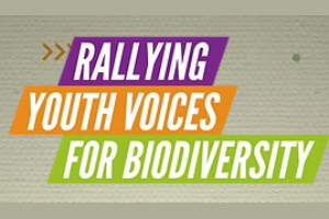 Global Youth Biodiversity Network (GYBN)
