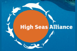 High Seas Alliance