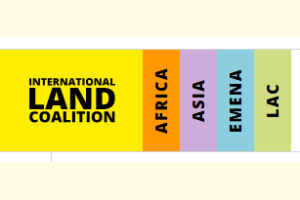 International Land Coalition