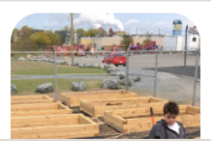 Learning for a Sustainable Future