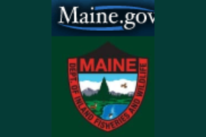 Maine Department of Inland Fisheries & Wildlife