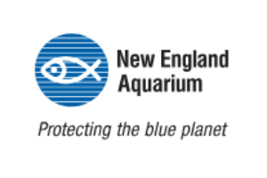 New England Aquarium 