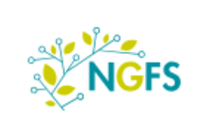 Network of Central Banks and Supervisors for Greening the Financial System (NGFS)