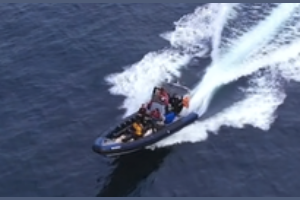 Ocean Azores Foundation