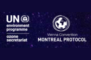 United Nations (UN) Environmental Programme: Ozone Secretariat