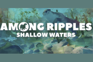Among Ripples: Shallow Waters 