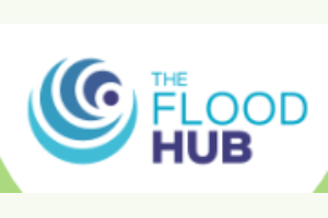 Flood Hub, The