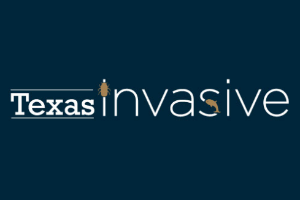 Texas Invasion Species Institute 