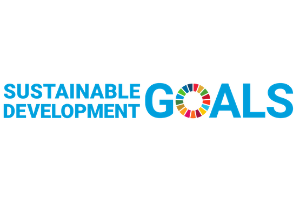 United Nations (UN) Sustainable Development Solutions Network (SDSN)