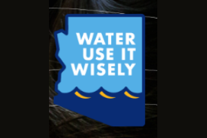Water - Use It Wisely